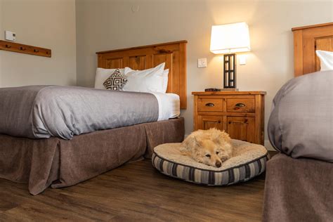 Fernie Pet Friendly Hotel Rooms-BC Canada Lodging | Red Tree Lodge