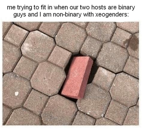 system memes rtraaaaaaannnnnnnnnns