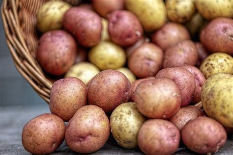 Експерти повідомили, як змінилась вартість картоплі в Україні