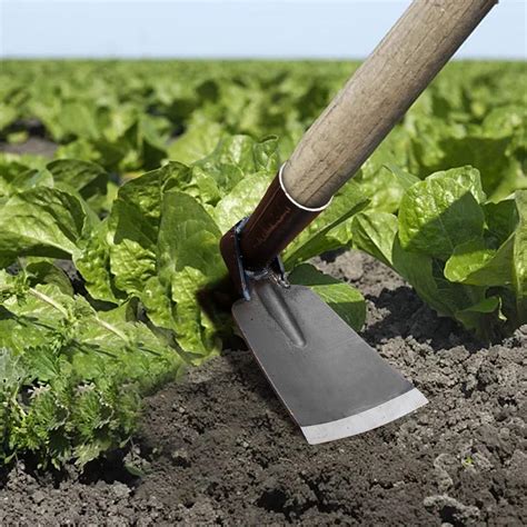 Customer reviews for 2025 Clearance, Outdoor Hoe Garden Tool -Garden