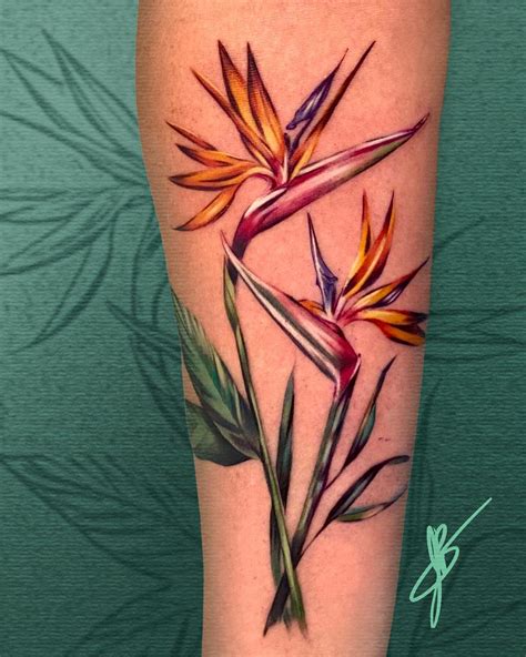 Bird Of Paradise Plant Tattoo