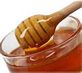 categoryhoney dippers wikimedia commons