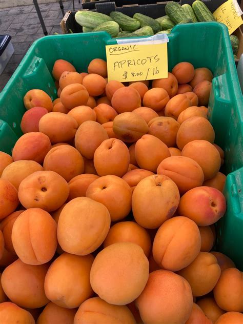 Wenatchee Valley Farmers... - Wenatchee Valley Farmers Market