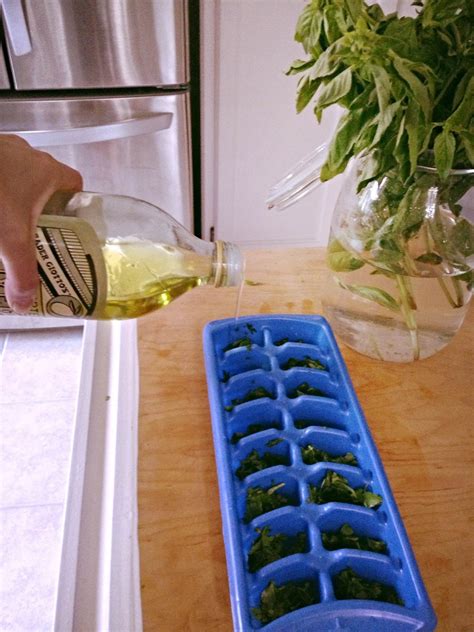 Preserving Herbs! | A Darling Daydream