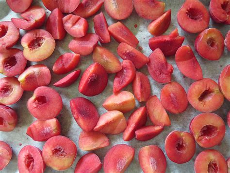 how to store plums 7
