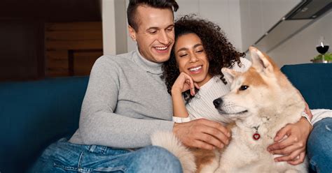 types  homeowners insurance integrity insurance
