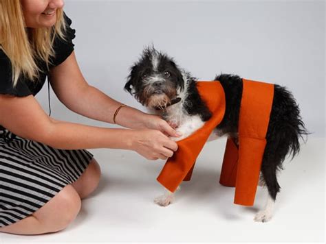 DIY Halloween: Chia Pet Dog Costume | we heart this