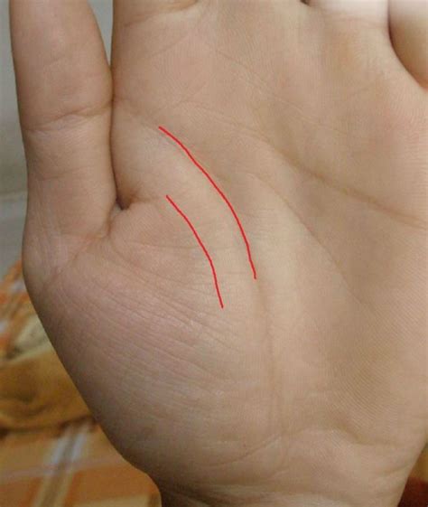 duong sinh dao doi la gi dac diem  nghia van menh  nao