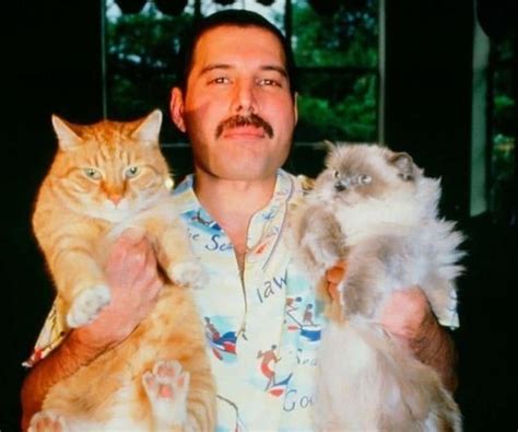 Freddie Mercury and his Cats – Page 2