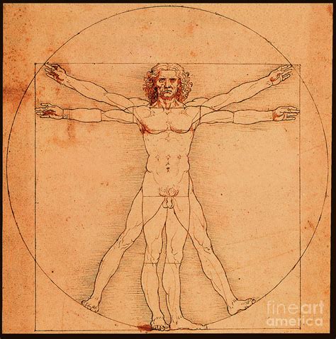 Vitruvian Man Drawing by Leonardo Da Vinci - Pixels