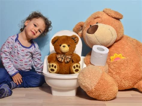 mengajarkan  kecil toilet training   tips  bisa
