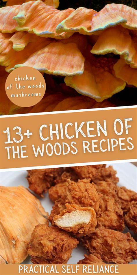 hens of the woods recipes 6