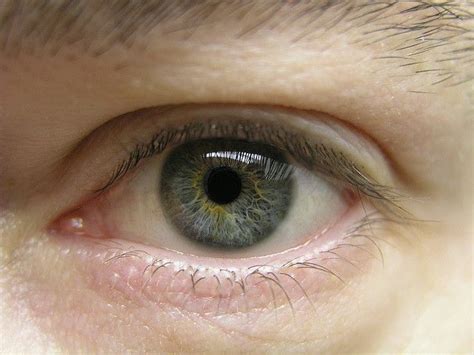 Greenish Gray Eyes