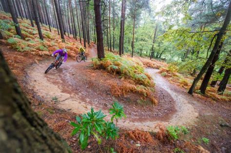 mt biking trails