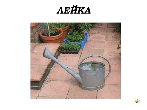 Инвентарь для сада и огорода - презентация онлайн