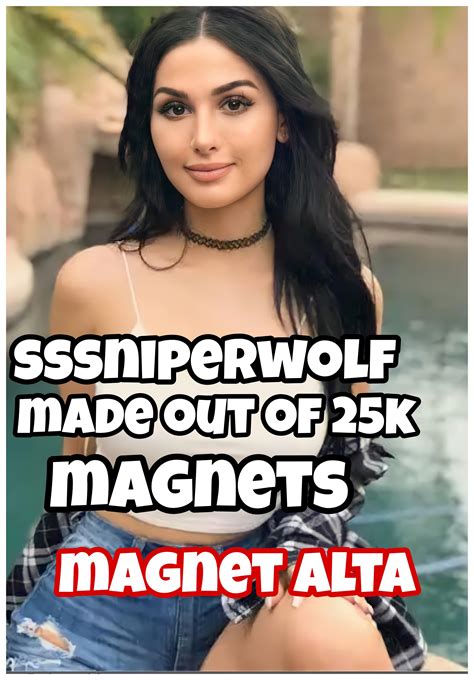 SSSniperWolf Made out of 25k magnets! Magnet Alta yt | Scrolller