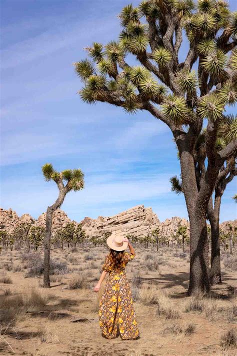 The Best Road Trip Stops on a Las Vegas to Los Angeles Drive