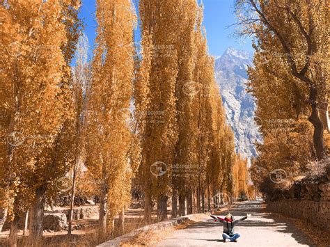 hunza autumn  experience  fall foliage  hunza pakistan