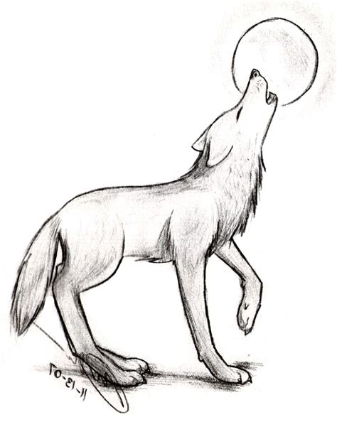 Wolf Sketch Easy at PaintingValley.com | Explore collection of Wolf ...