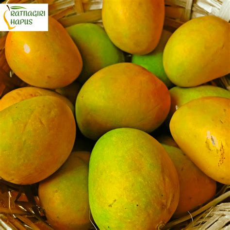 ratnagiri alphonso mango taste heavenly sweetness  mango