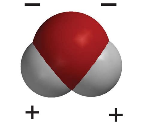 Lesson 5.1: Water is a Polar Molecule - American Chemical Society