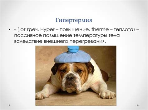 Гипотермия и гипертермия - презентация онлайн
