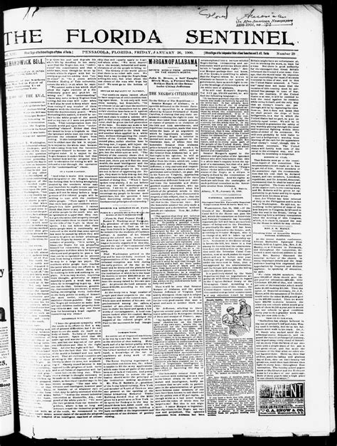 A hidden archive in newspaper tampa bay times vaults revealed history 7