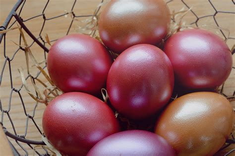 картинки : фрукты, Пища, Красный, производить, Овощной, Закрыть, лук ...