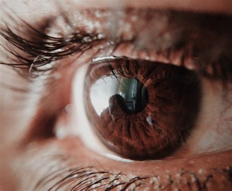 Pengertian Diplopia Beserta Penyebab dan Cara Mengobatinya