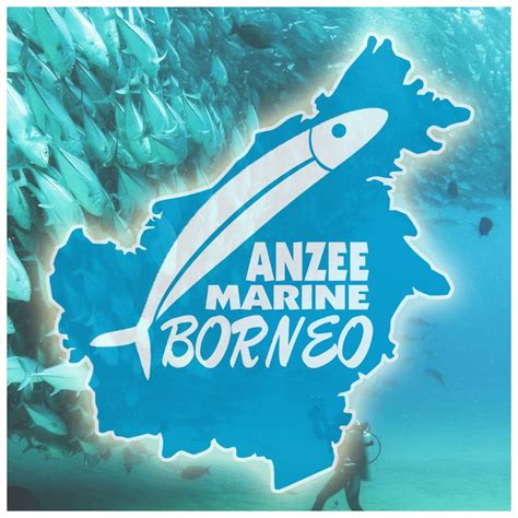 Aura Marine Borneo - Anzee... - Aura Marine Borneo - Anzee