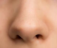 nose  stock photo public domain pictures