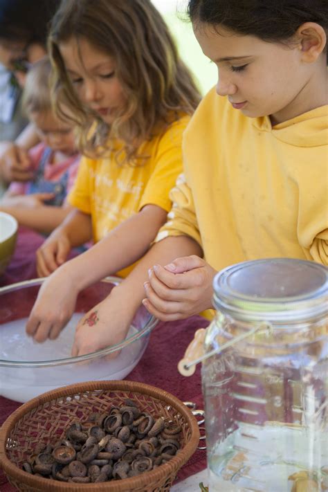 Harvest Festival 2023 — Portland Waldorf School