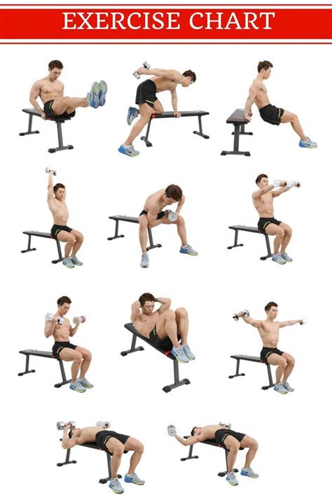 Simple Workout Bench - Multi-Utility Weight Bench | Marcy SB-10115 ...