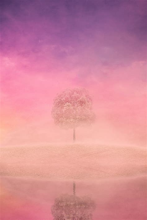 tree lake nature  photo  pixabay pixabay