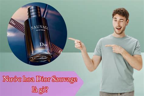 Nước hoa Dior Sauvage: Review giá bao nhiêu, mua ở đâu?