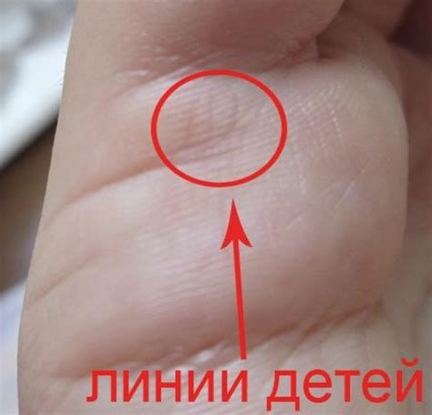 Линия детей на ладони — расшифровка: хиромантия — Лунные Новости