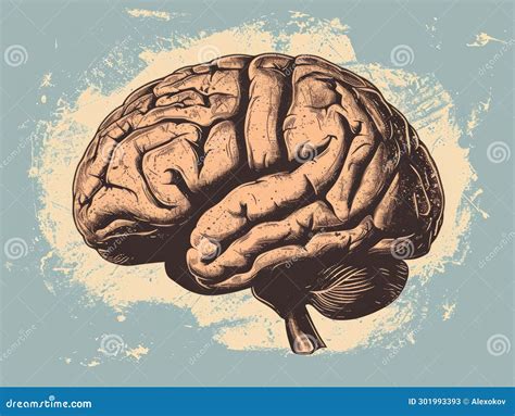 Human Brain. Illustration in Vintage Style. Hand Drawn Sketch Stock ...