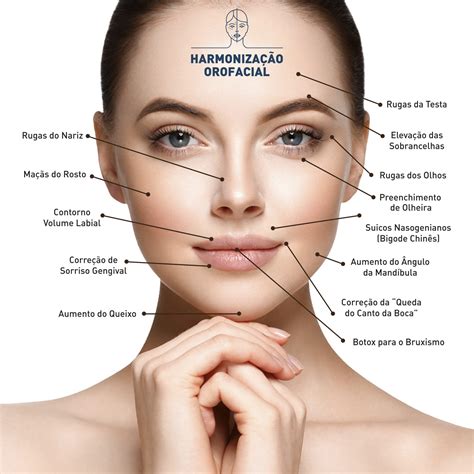 Anatomia Da Face Harmonização Pdf - RETOEDU