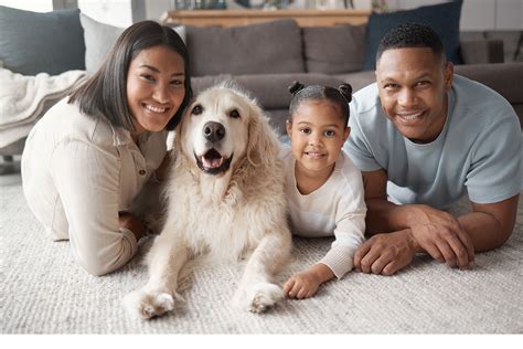 health benefits  pet ownership