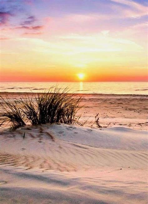 Lake michigan beach grass sunset ii – Artofit