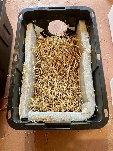 Feral Shelter Program | San Antonio Feral Cat Coalition