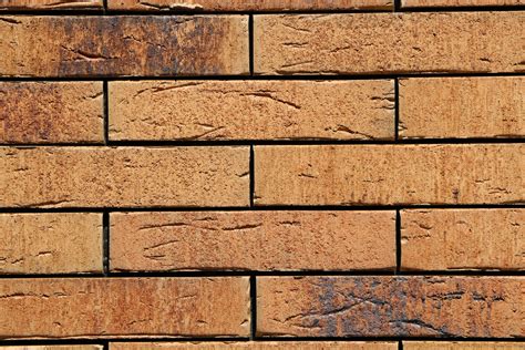 Critics explain the dynamic bond of Will Smith and sons 1