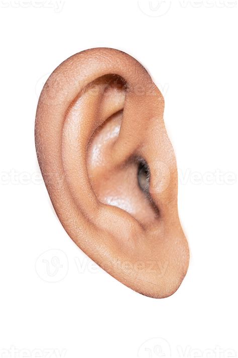 rostro humano oreja detalle primer plano macro disparo  png