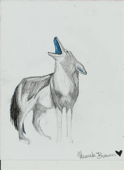 Coyote Howling Drawing at PaintingValley.com | Explore collection of ...