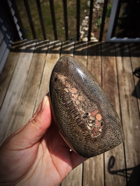 Beautifully Hand Polished Charlevoix Stone!!