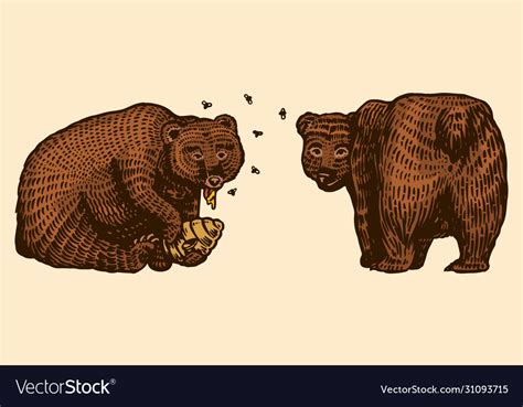 Grizzly bears hunting brown wild animal eats Vector Image