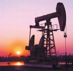 Перевод слова crude