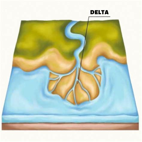 O Que É Delta De Um Rio - Foz, afluente, estuário e leito - PrePara ENEM