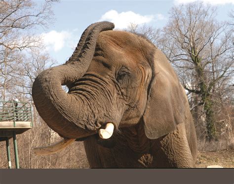 Incredible Children's Museums | VisitMaryland.org