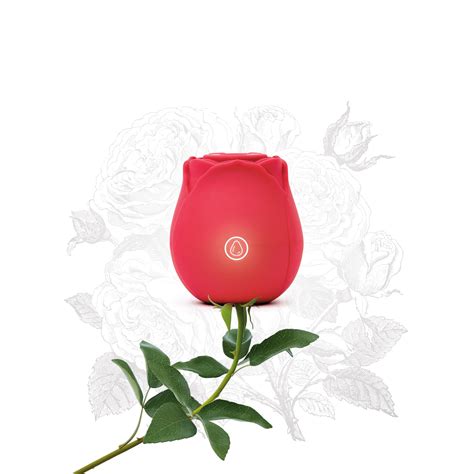 What is the Rose Sex Toy? – Boutique Voila